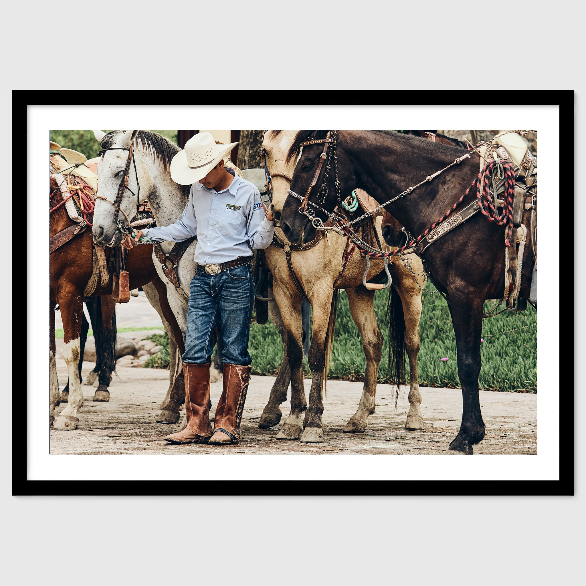 At Rest – Quiet Equine Photography Print