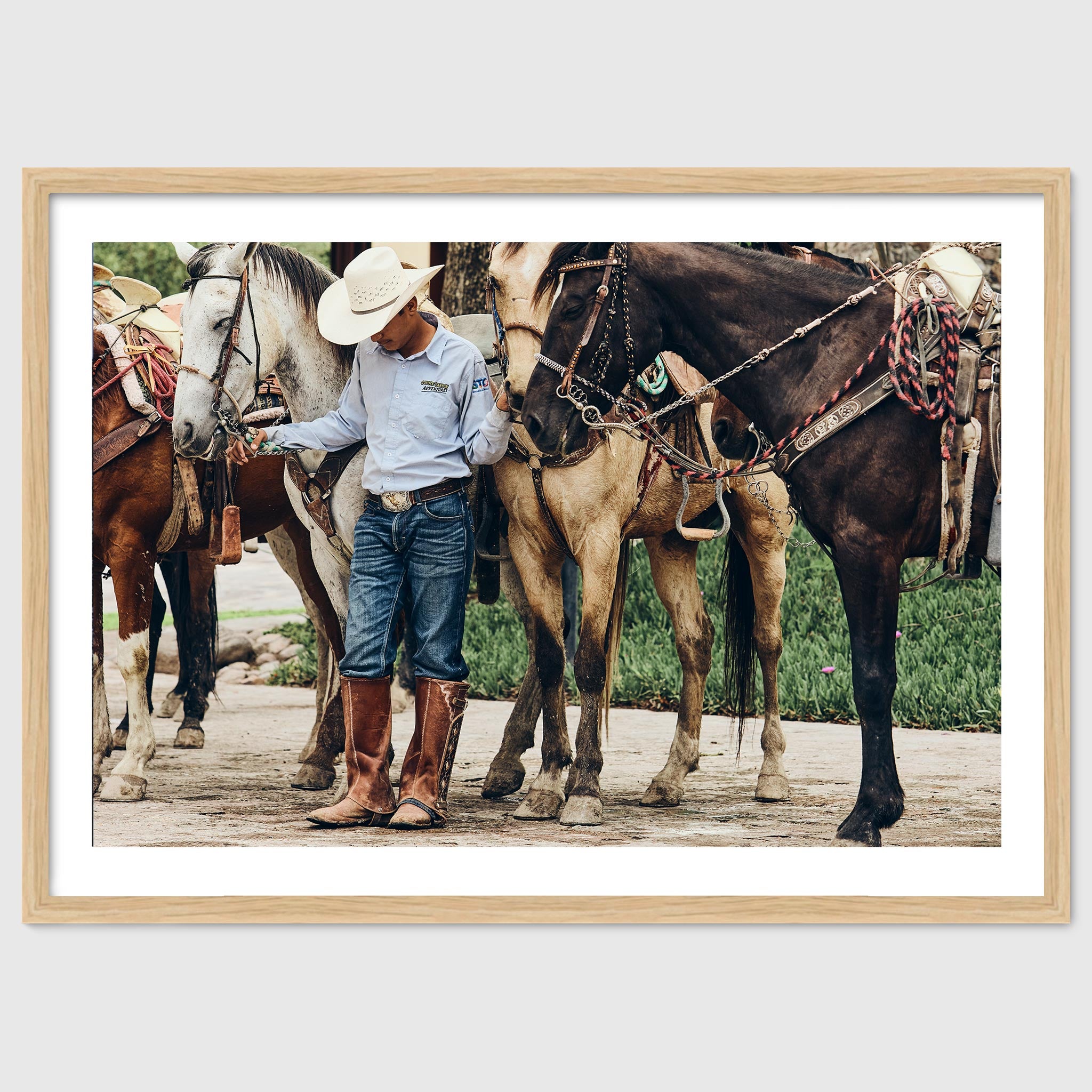 At Rest – Quiet Equine Photography Print