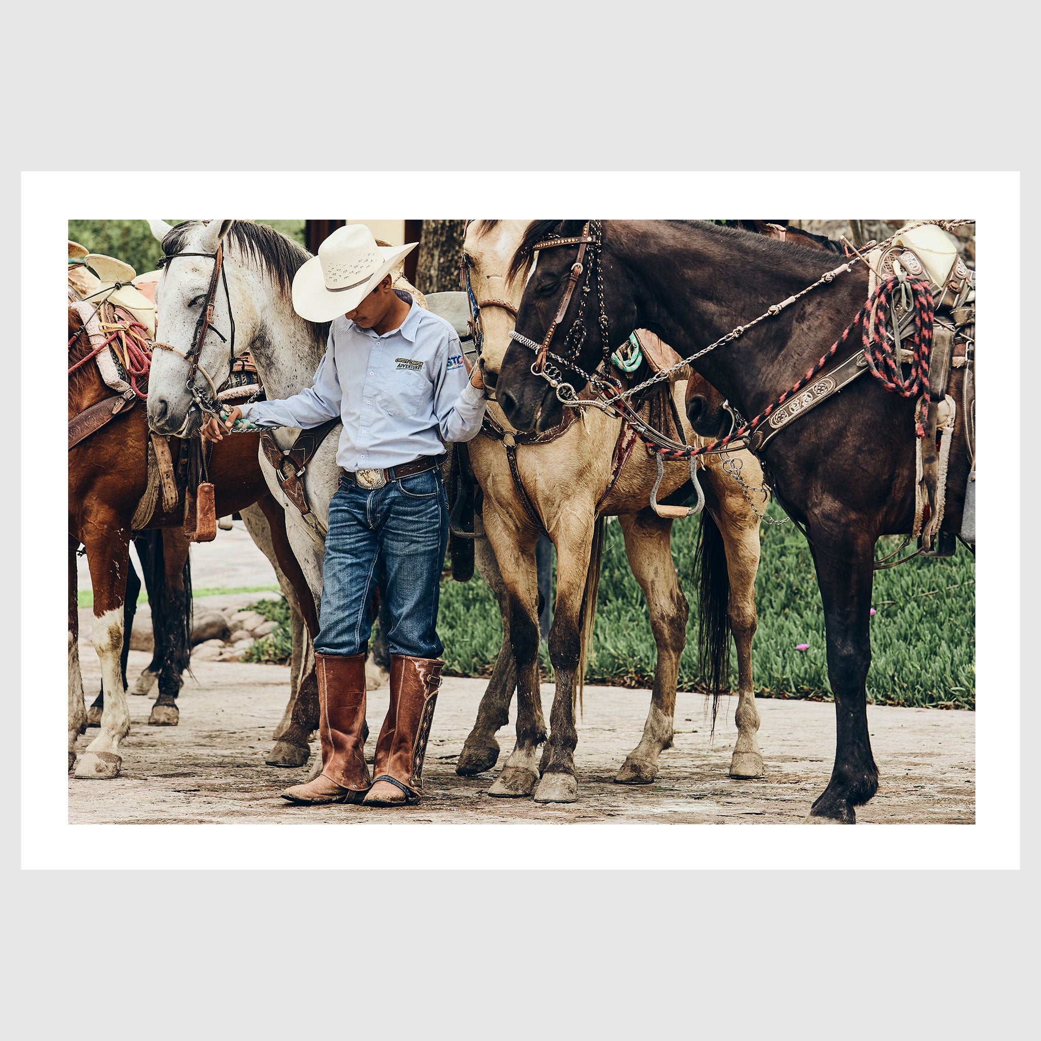 Colour photograph of a young horseman standing quietly among saddled horses during a traditional gathering in San Miguel de Allende, sold as an unframed fine art print