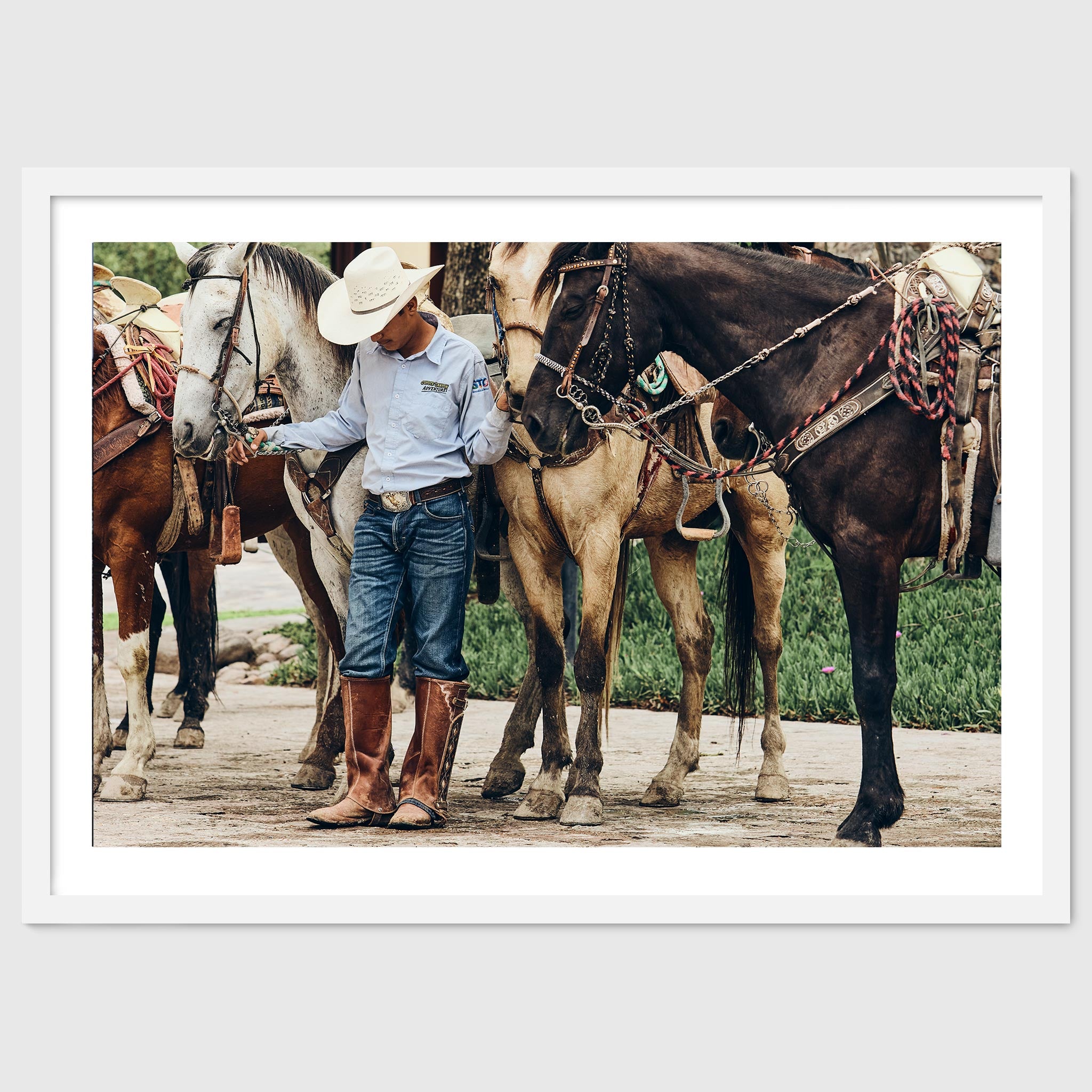 At Rest – Quiet Equine Photography Print