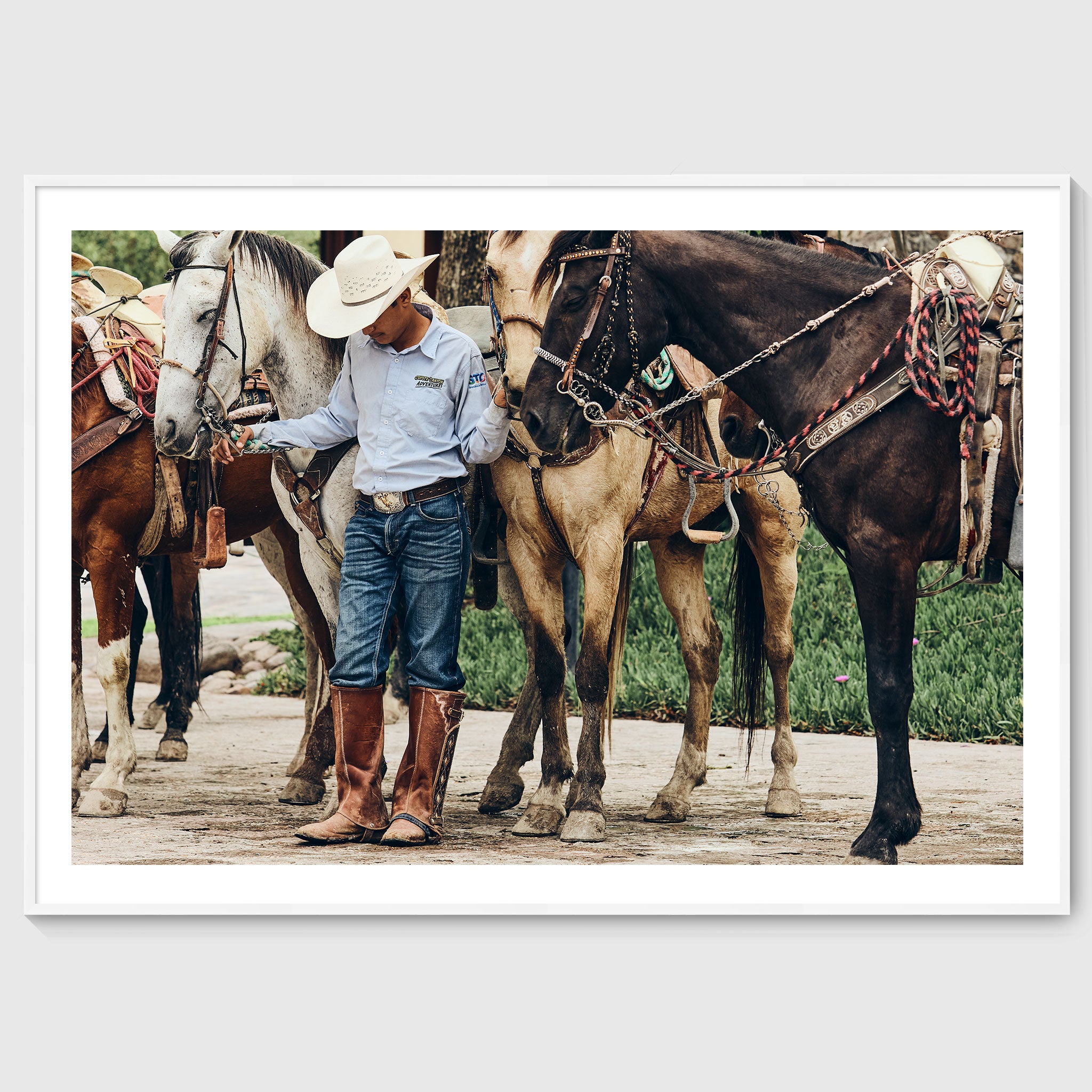 Colour photograph of a young horseman standing quietly among saddled horses during a traditional gathering in San Miguel de Allende, shown in a white wooden frame