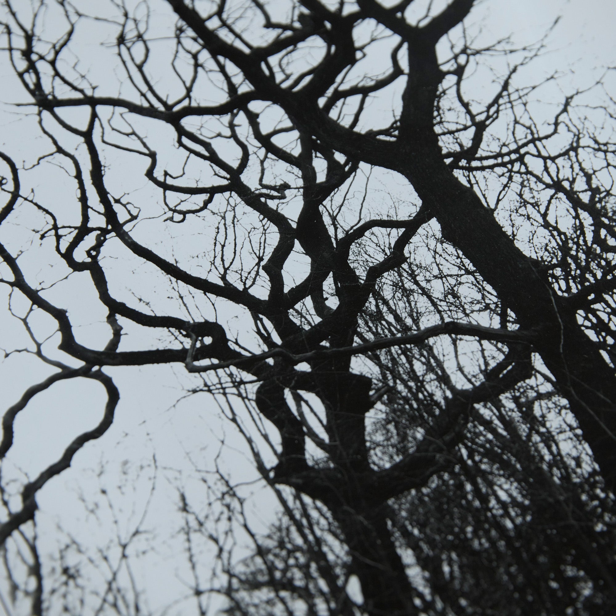 Carbon – Minimalist Black & White Photography Print