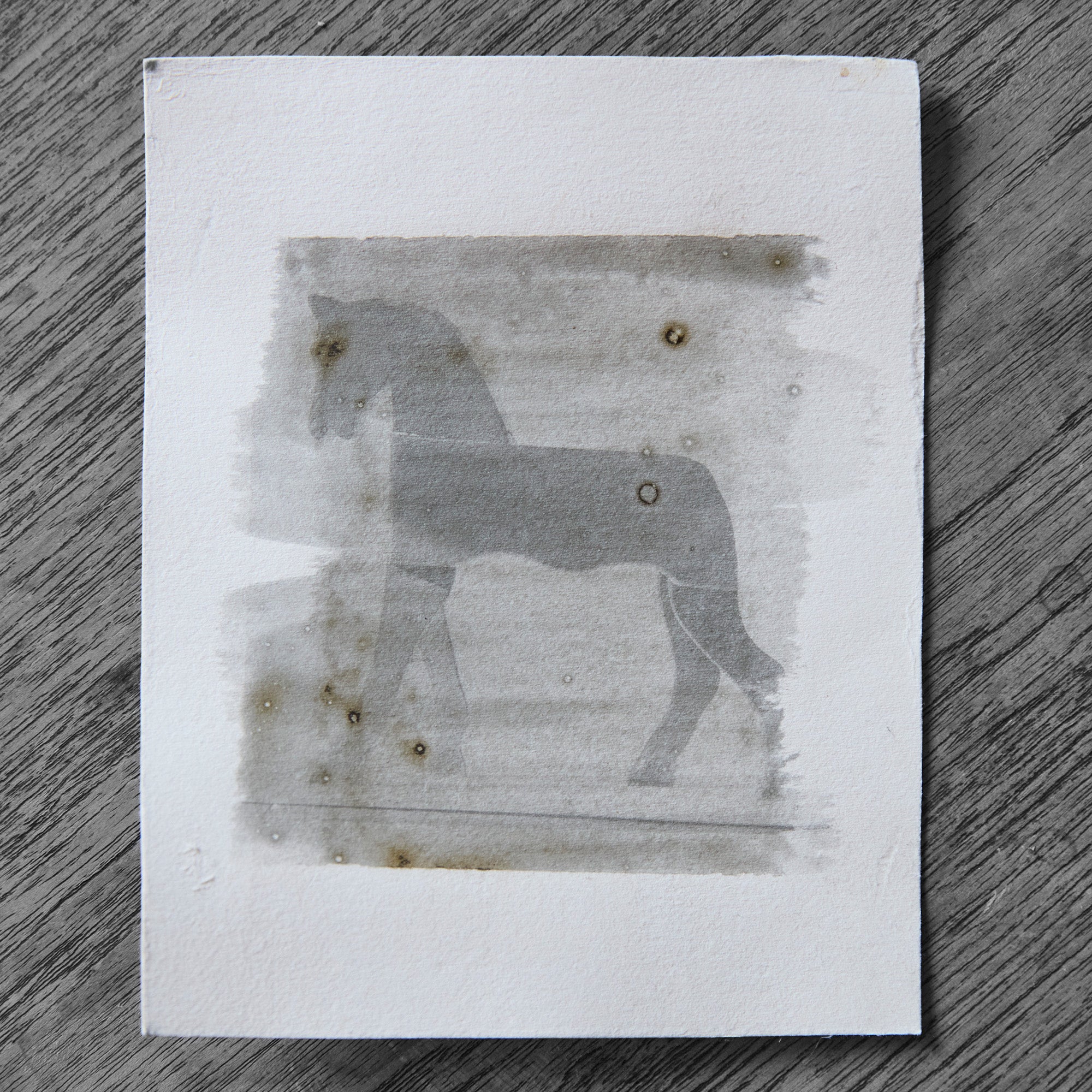 One-off black and white darkroom photograph of a horse rendered through a hand-painted emulsion layer, hand-printed by the artist.