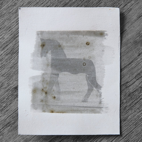 One-off black and white darkroom photograph of a horse rendered through a hand-painted emulsion layer, hand-printed by the artist.