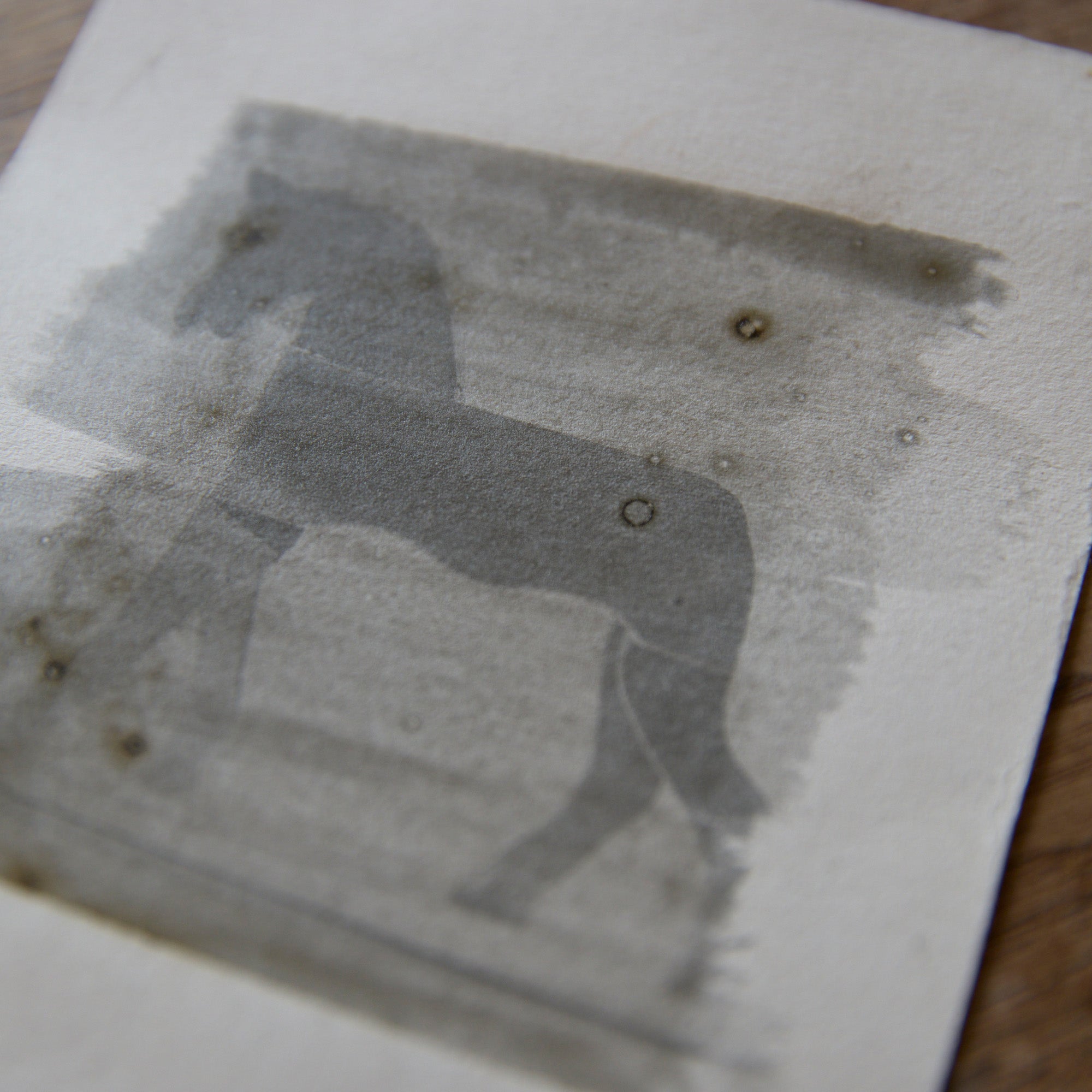 Detail of a one-off black and white darkroom photograph of a horse rendered through a hand-painted emulsion layer, hand-printed by the artist.