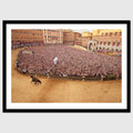 Il Vincitore – Siena Winning Horse Wall Art, Italian Equestrian Photography